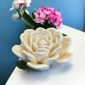 HomArt Ceramic Succulent
